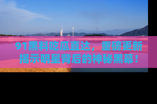 91黑料吃瓜直达,重磅更新揭示明星背后的神秘黑幕!