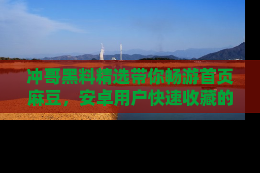 冲哥黑料精选带你畅游首页麻豆，安卓用户快速收藏的秘密武器！