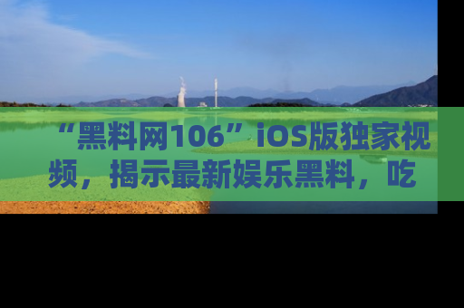“黑料网106”iOS版独家视频,揭示最新娱乐黑料,吃瓜不停!