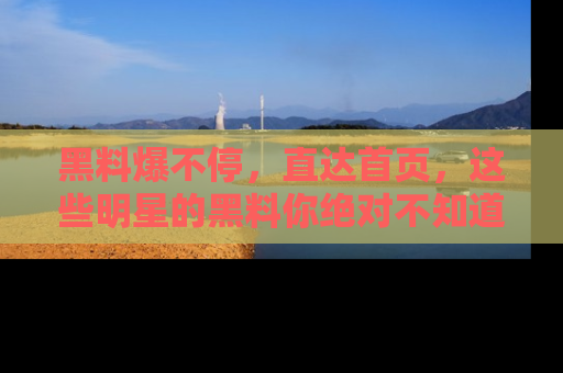 黑料爆不停，直达首页，这些明星的黑料你绝对不知道！