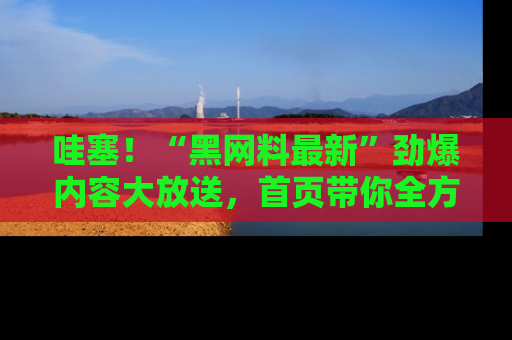 哇塞！“黑网料最新”劲爆内容大放送，首页带你全方位了解哦，小可爱们