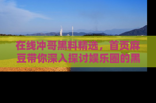 在线冲哥黑料精选，首页麻豆带你深入探讨娱乐圈的黑暗面