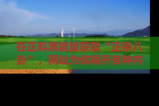 在正料黑能量获取“正宗八卦”，网址为你揭开各种内幕故事！