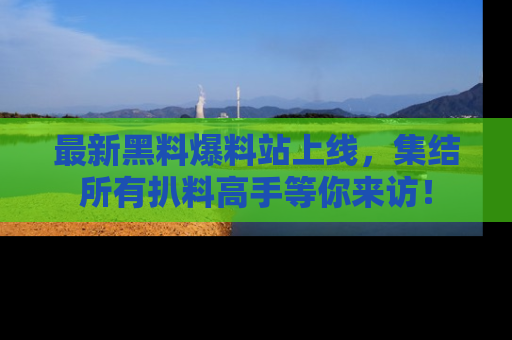 最新黑料爆料站上线，集结所有扒料高手等你来访！
